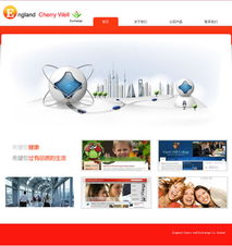 重慶元午商務信息咨詢網站建設案例解析